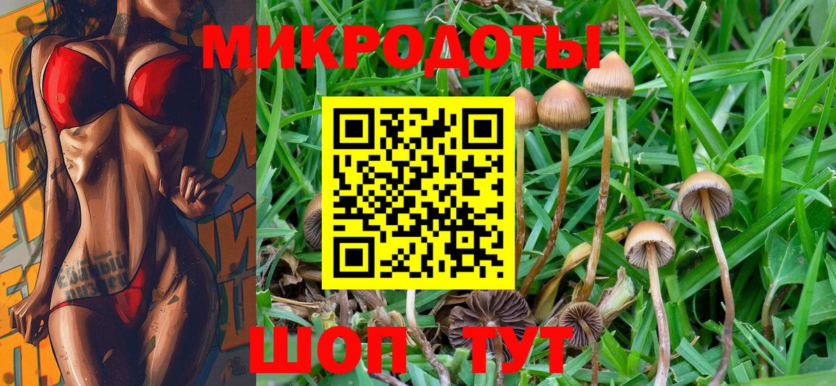 Галлюциногенные грибы GOLDEN TEACHER Соликамск