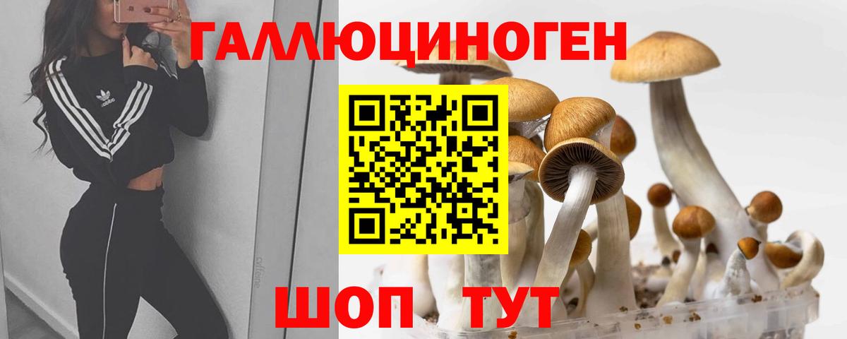 Псилоцибиновые грибы ЛСД  Псилоцибиновые грибы мицелий  Соликамск  Вход с VPN 